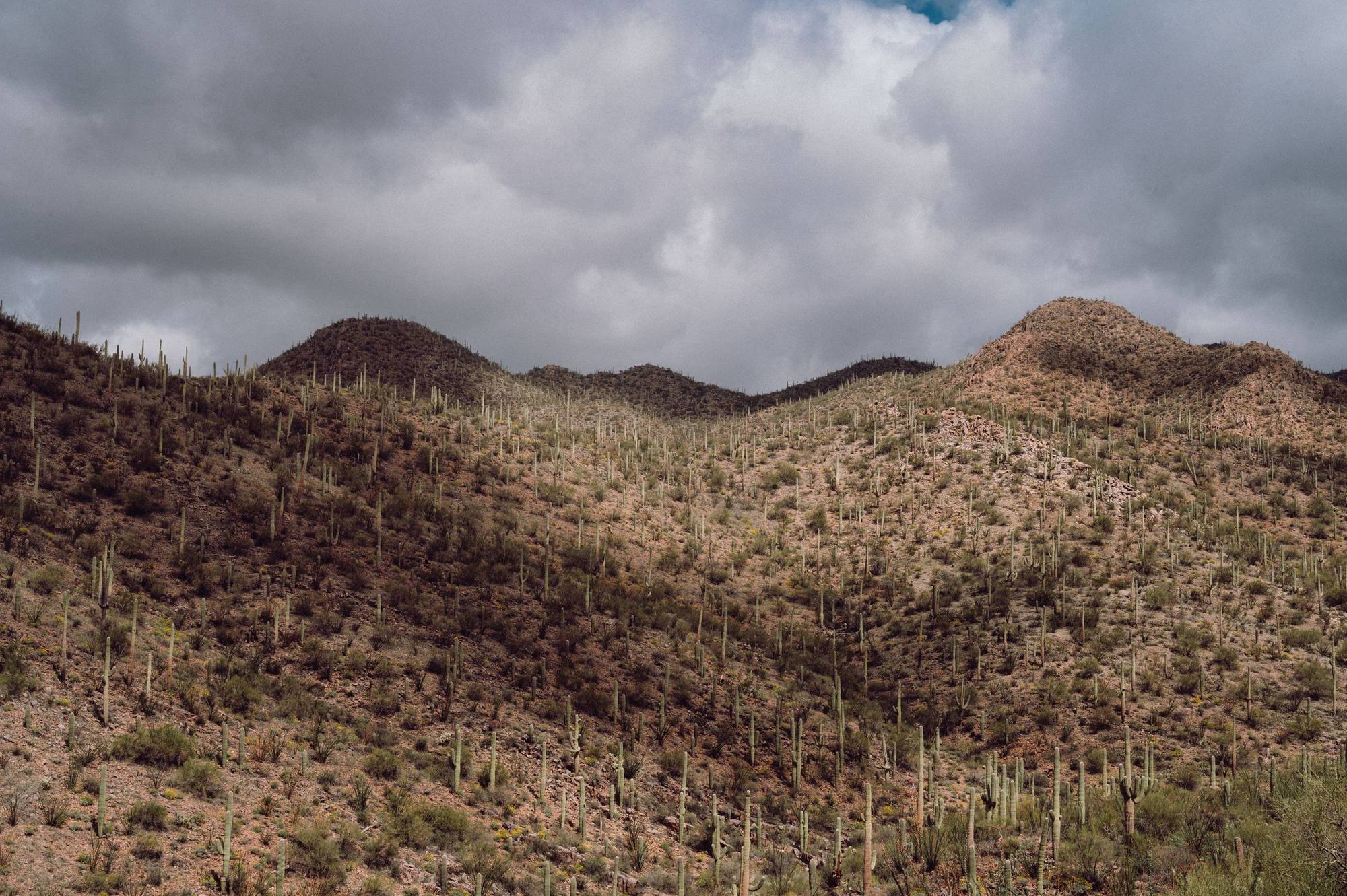 Desert hills